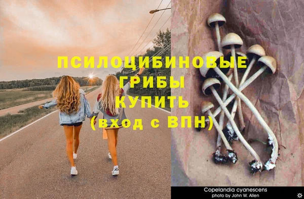 молекула духа Козловка