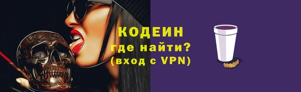 молекула духа Козловка
