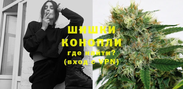 молекула духа Козловка