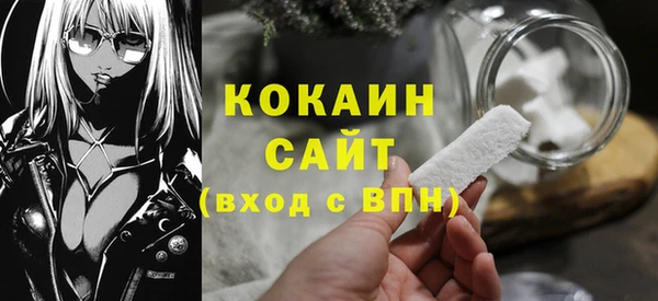 шишки Киренск