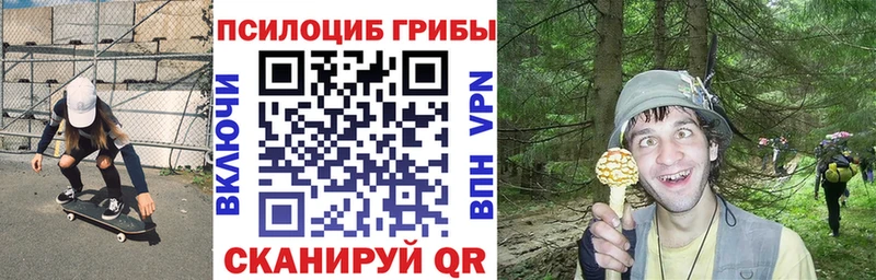 Купить  Магадан  Псилоцибиновые грибы Psilocybine cubensis 